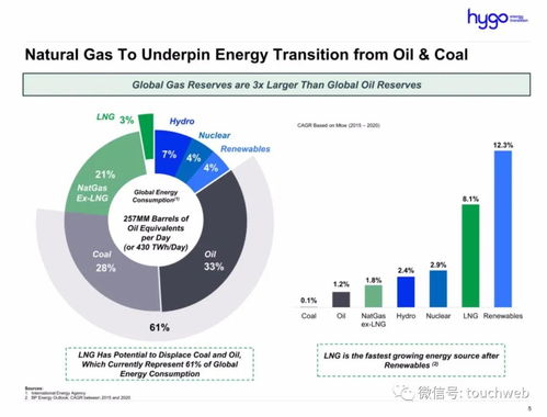 能源企业Hygo冲刺美股 拟募资4.9亿 路演PPT曝光