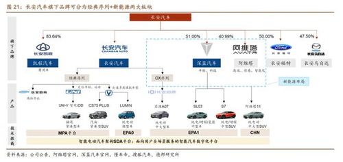 评级研报︱车市 金九 销量创新高,节后汽车板块大涨,这两家公司9月新能源车业绩均高企 附2股